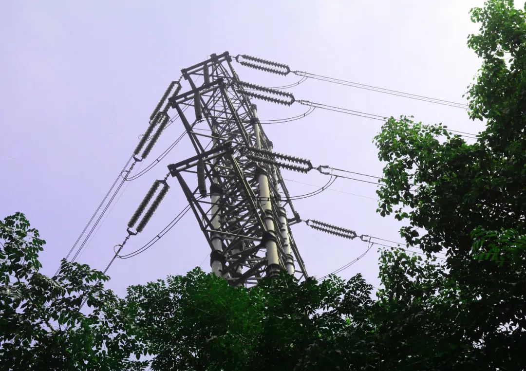 煤炭是国家控制煤炭价格的战略物资！